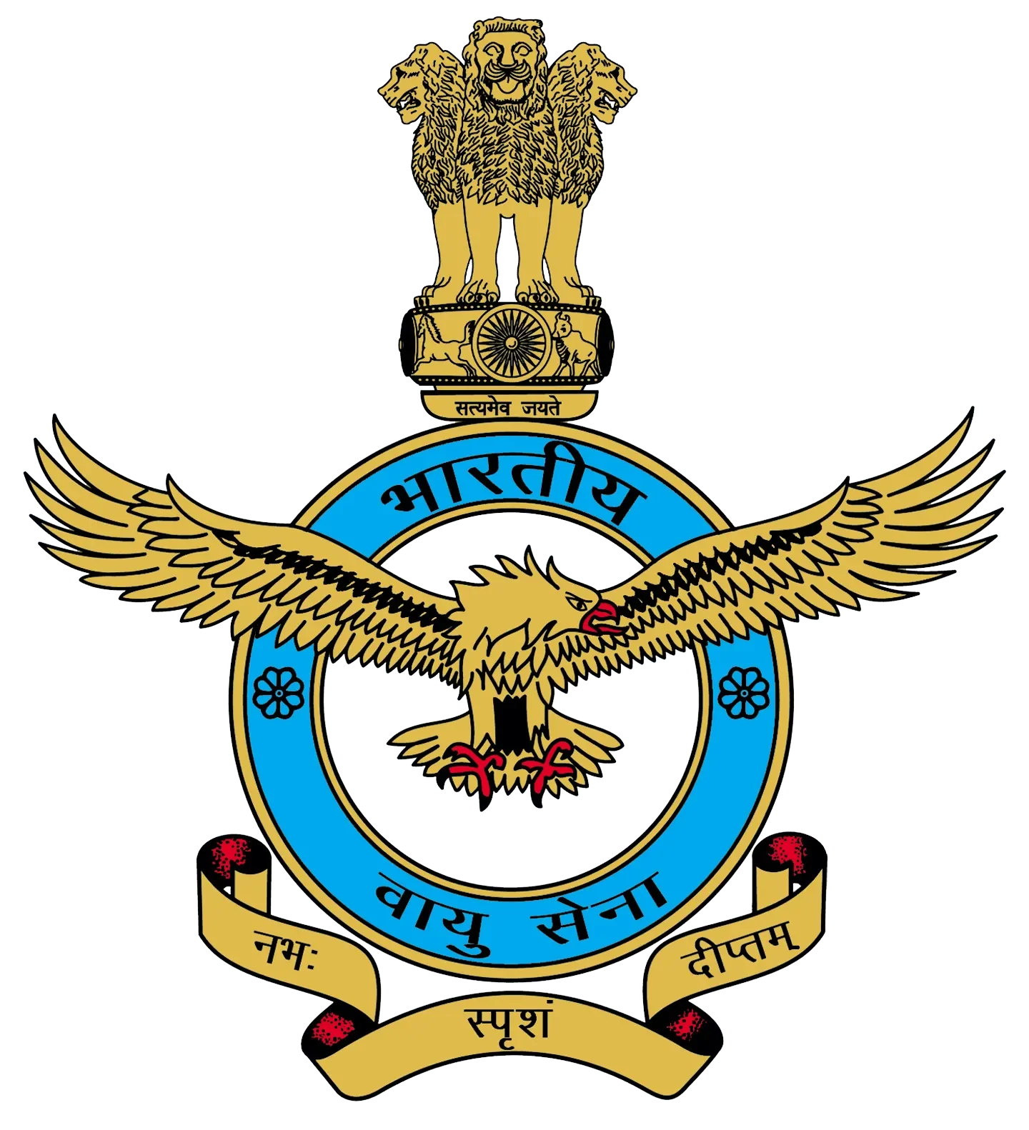 Indian Air Force logo